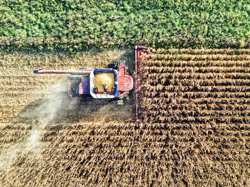 Agricultural Land in Jat Khor